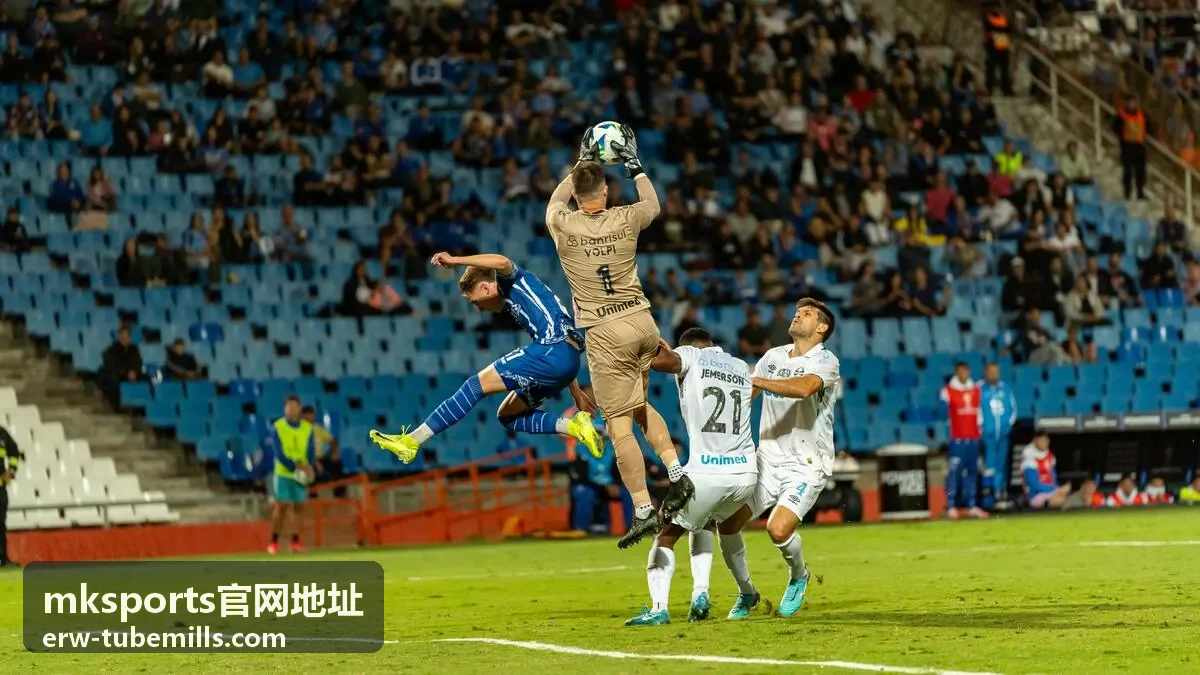mksports官网地址移动端访问核对示意