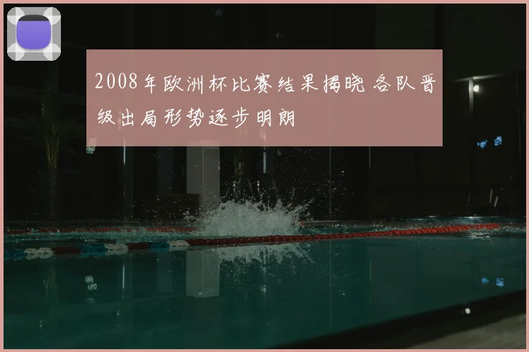 2008年欧洲杯比赛结果揭晓 各队晋级出局形势逐步明朗