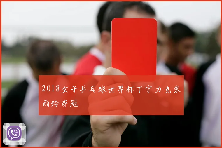 2018女子乒乓球世界杯丁宁力克朱雨玲夺冠