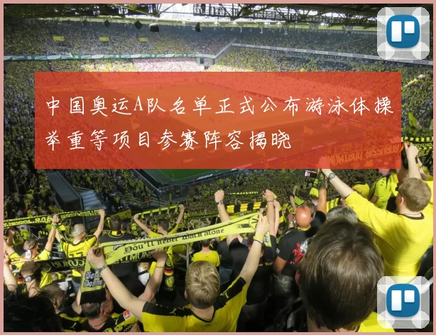 中国奥运A队名单正式公布游泳体操举重等项目参赛阵容揭晓