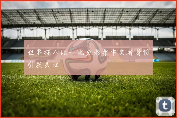 世界杯八比一比分彩票中奖者身份引发关注